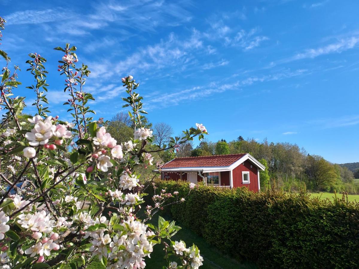 Aelgbergets Bed & Breakfast Bed & Breakfast Ucklum Eksteriør bilde