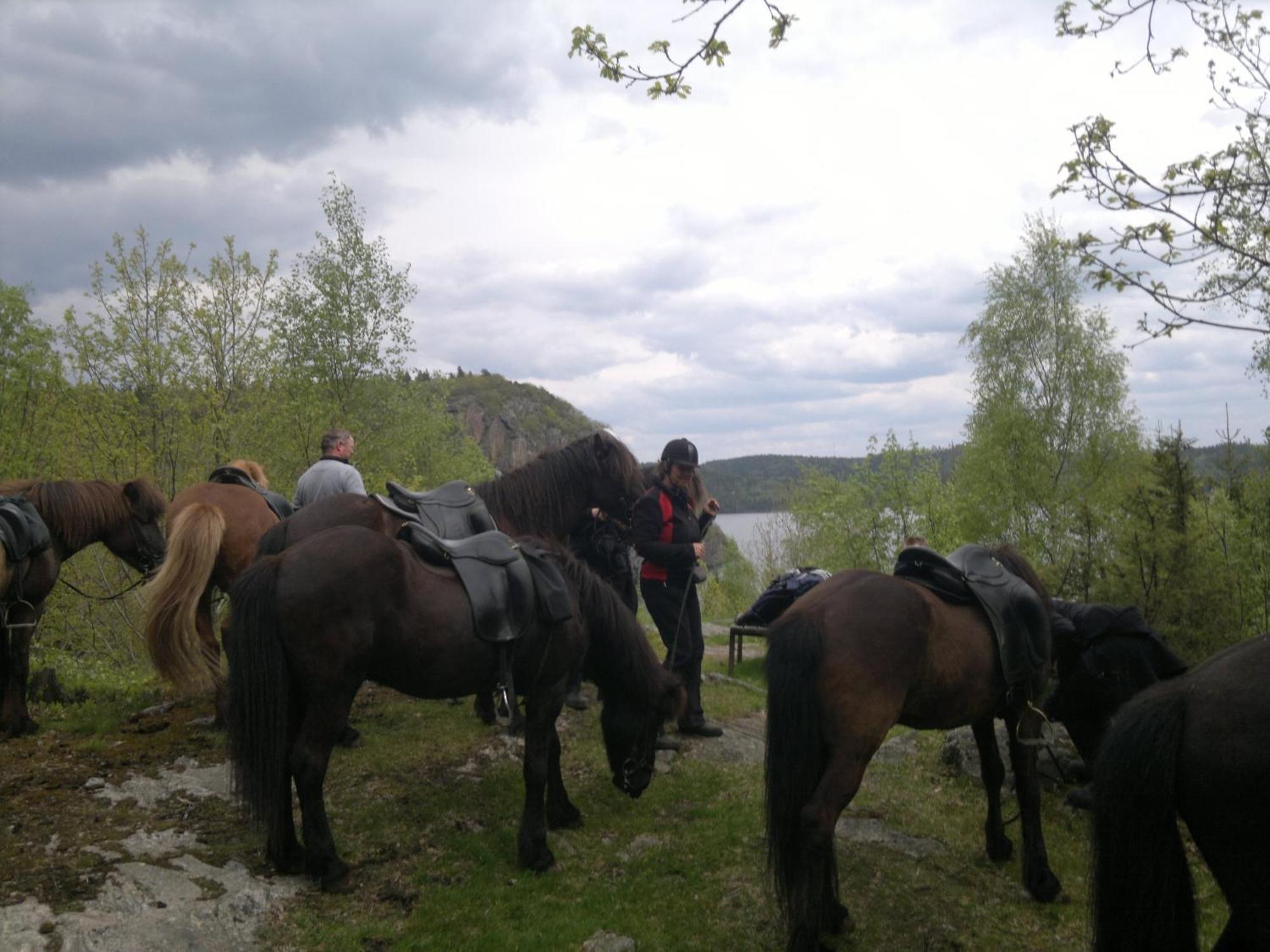 Aelgbergets Bed & Breakfast Bed & Breakfast Ucklum Eksteriør bilde